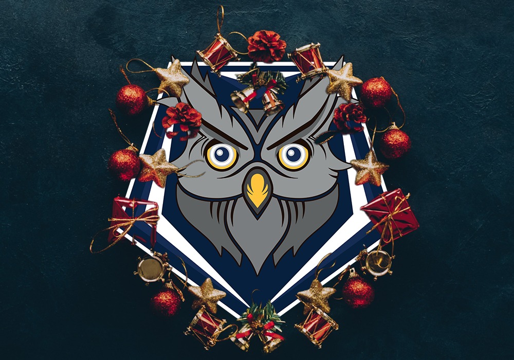 Nanaimo NightOwls Custom Hockey Jersey – Nanaimo Night Owls